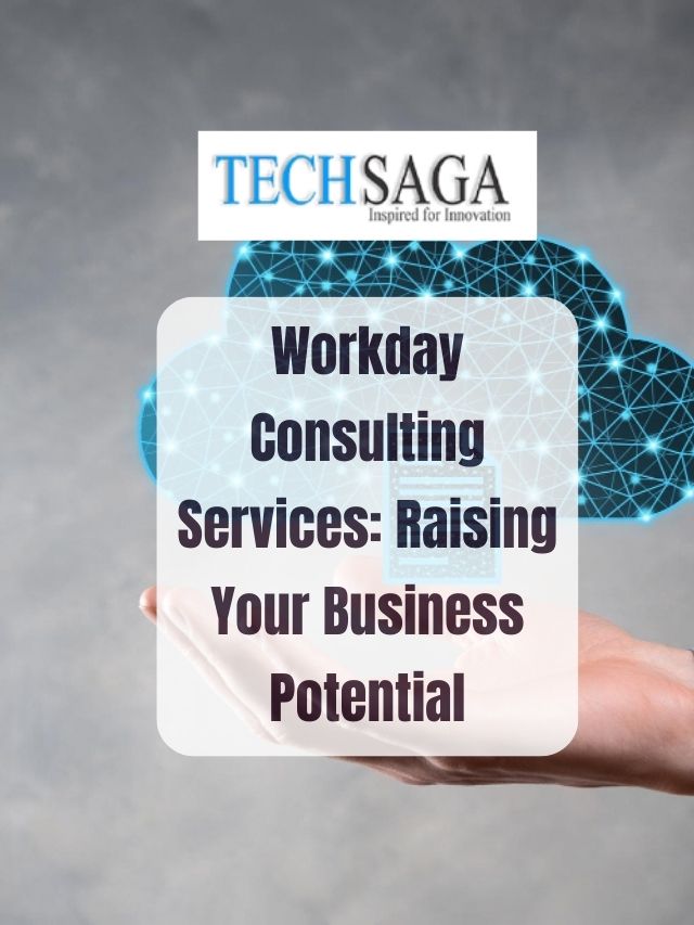 Workday Consulting Services: Raising Your Business Potential